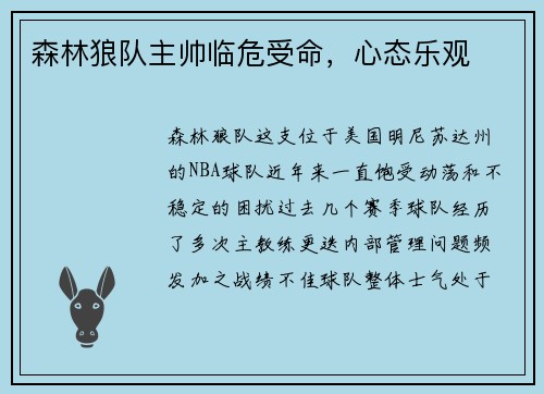 森林狼队主帅临危受命，心态乐观